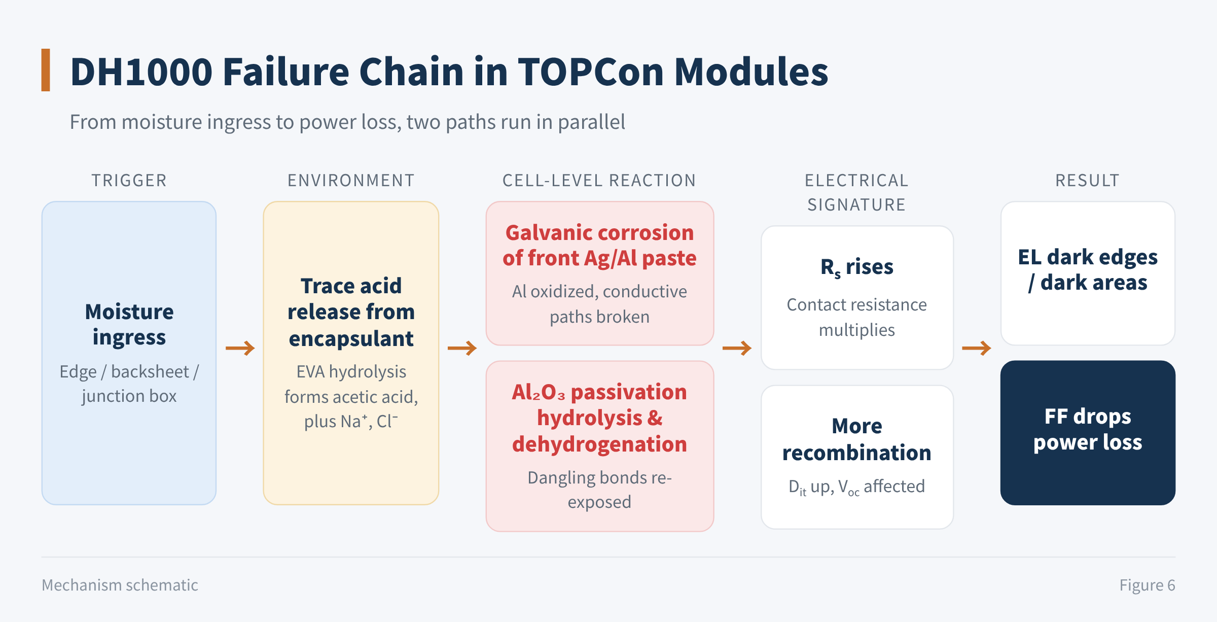 Figure 6 DH1000 failure chain in TOPCon modules