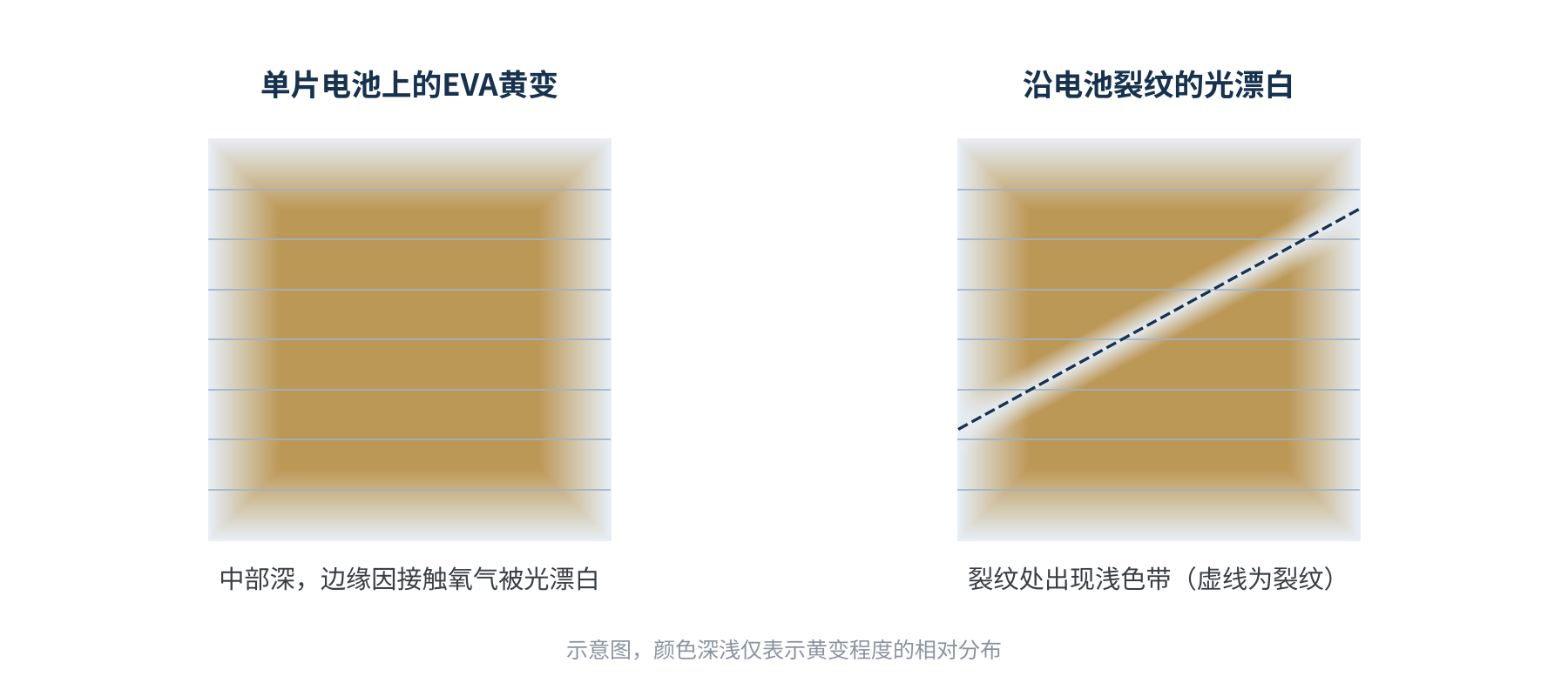 图2 EVA黄变的典型形态示意:中部深、边缘与裂纹处被光漂白