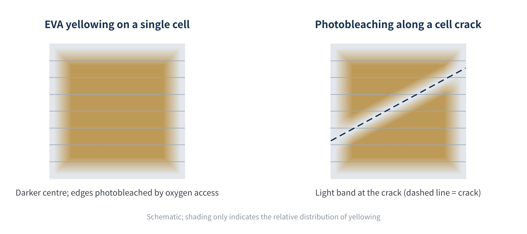 Figure 2 Typical EVA yellowing pattern: dark centre, photobleached edges and cracks