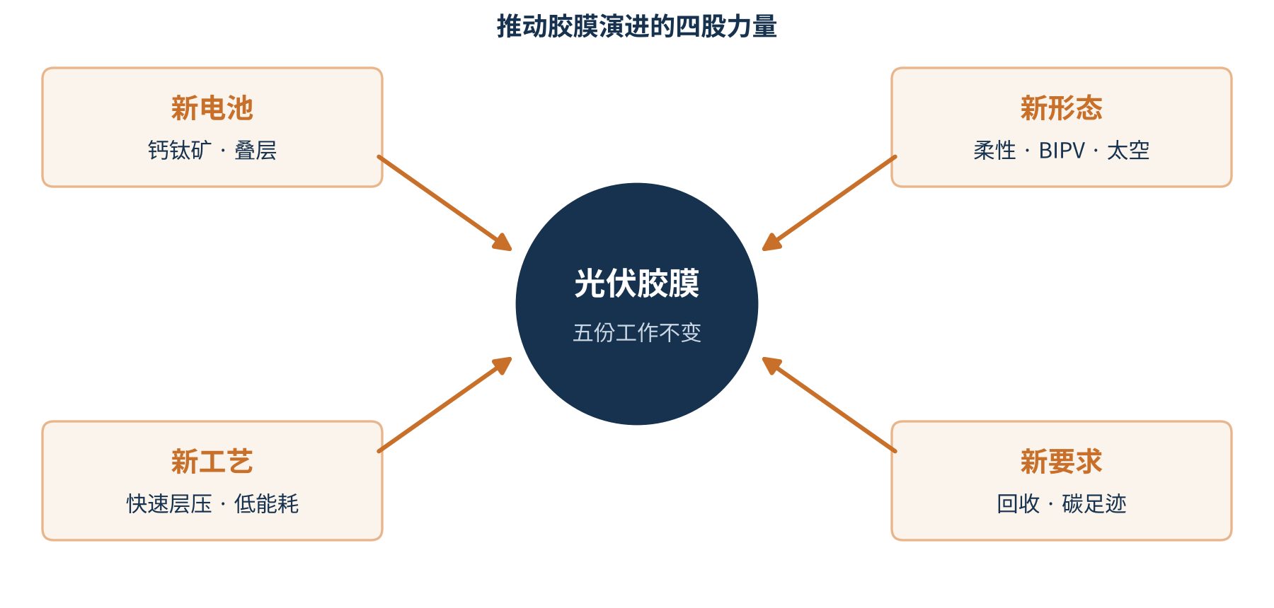 图1　推动胶膜演进的四股力量（示意）