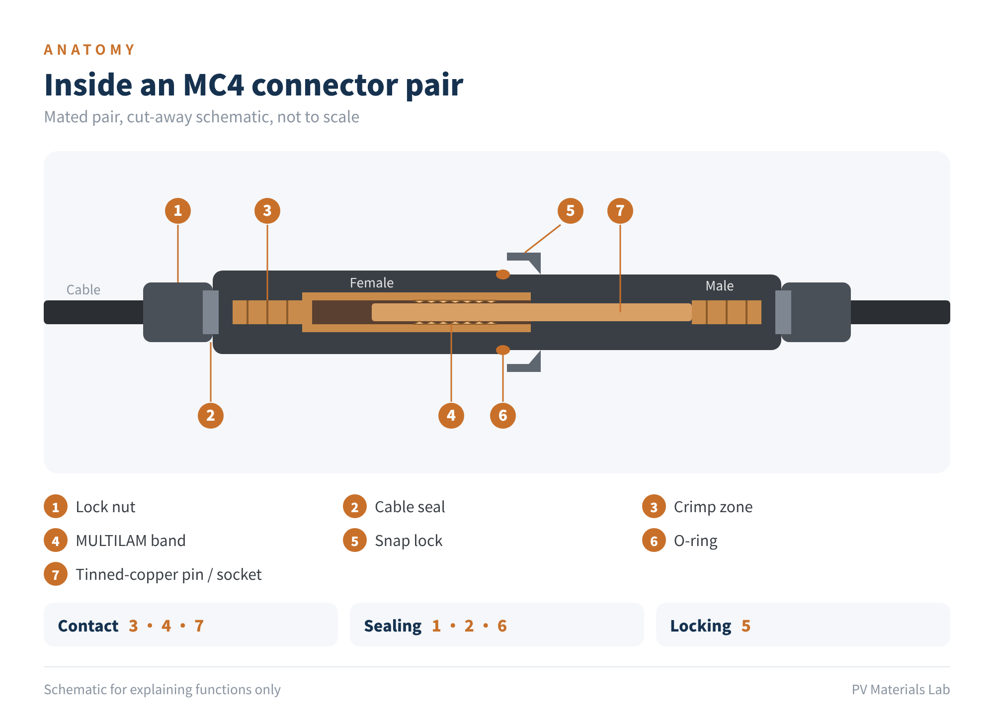 Figure 3 Inside an MC4 connector pair (not to scale)