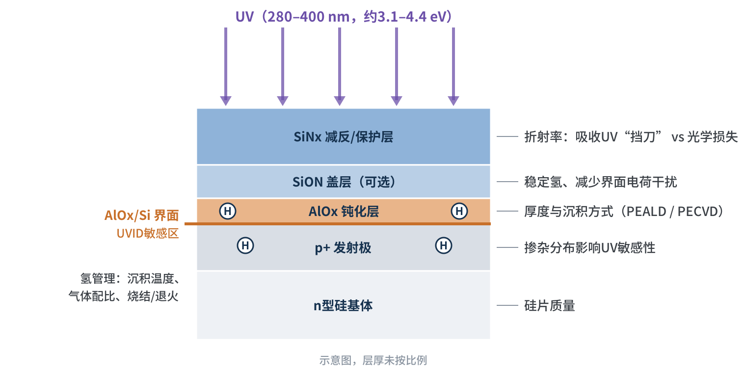图3　TOPCon正面钝化叠层与UVID主要调控点示意