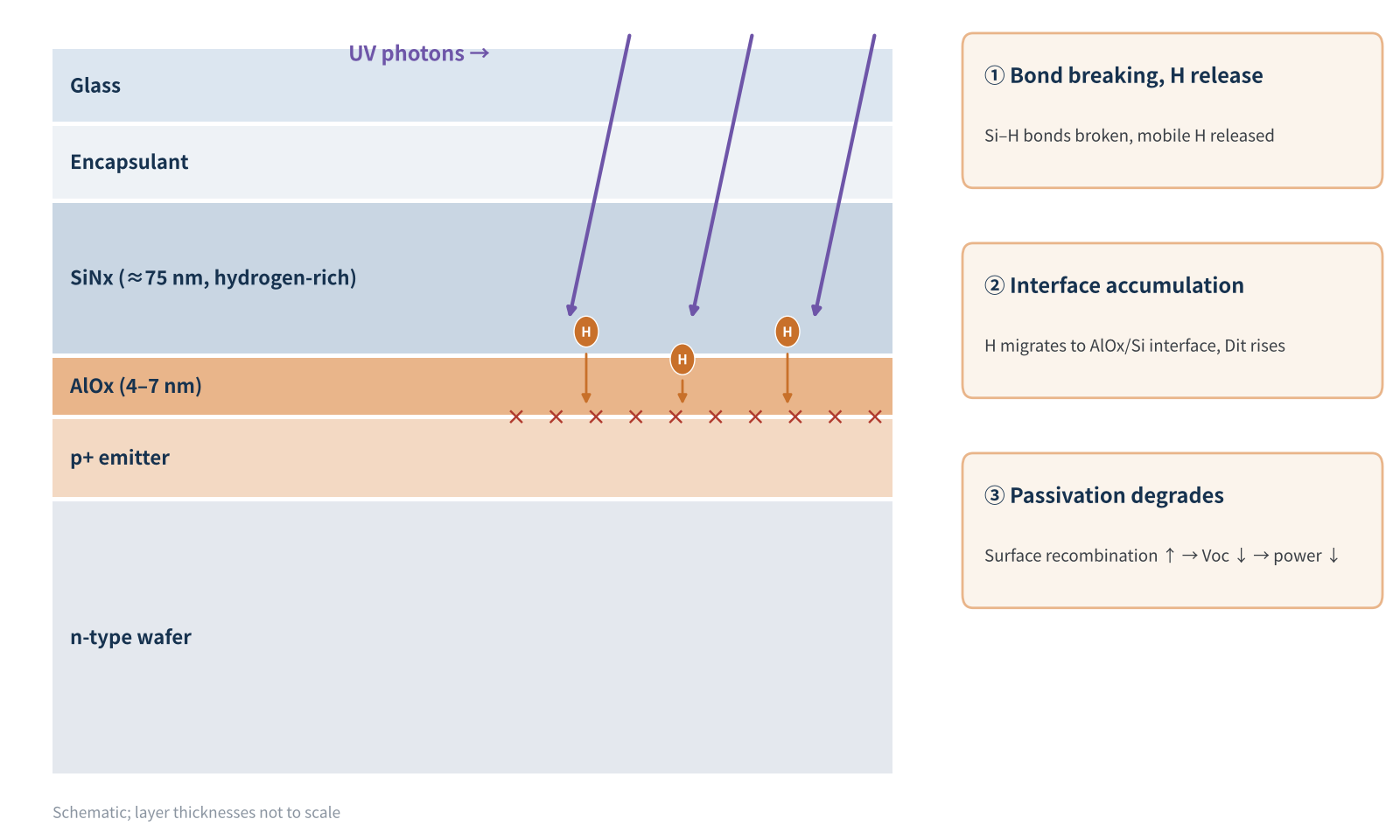 Figure 2 UVID mechanism in the TOPCon front passivation stack